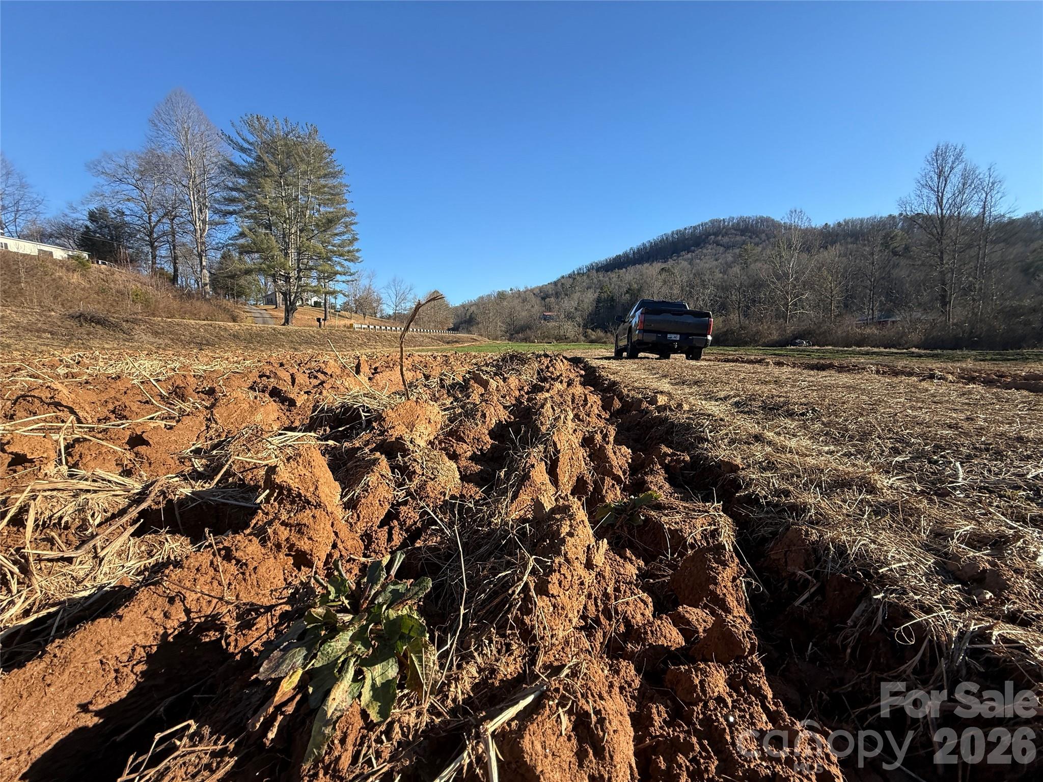 0 Old Fort Sugar Hill Road Marion, NC 28752 - Photo 7 of 35 a view of a dry yard