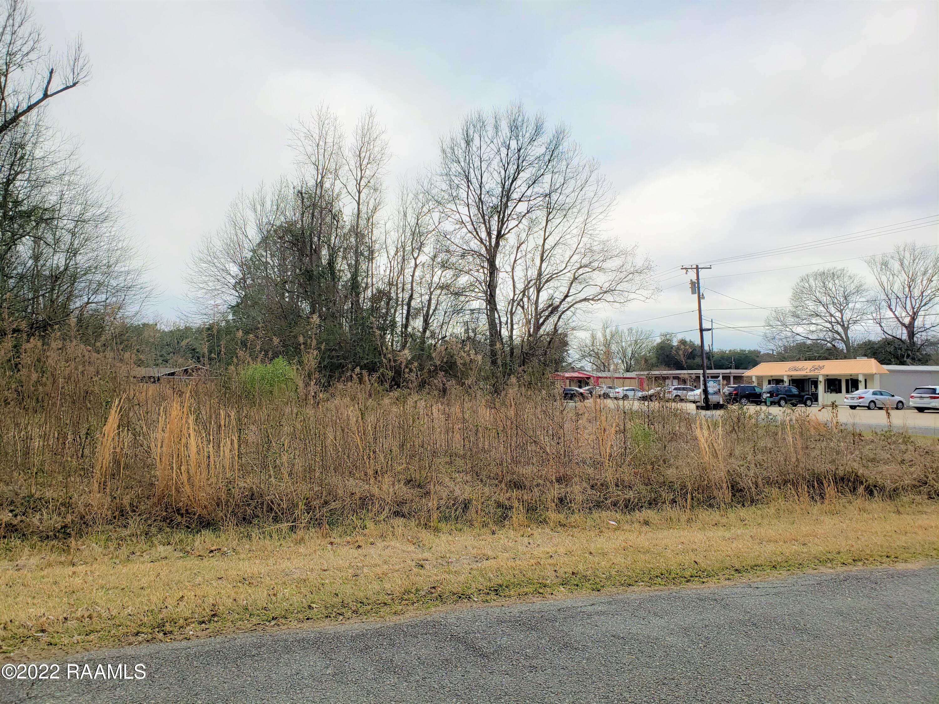 Tbd MacArthur Road Ville Platte, LA 70586 - Photo 3 of 6