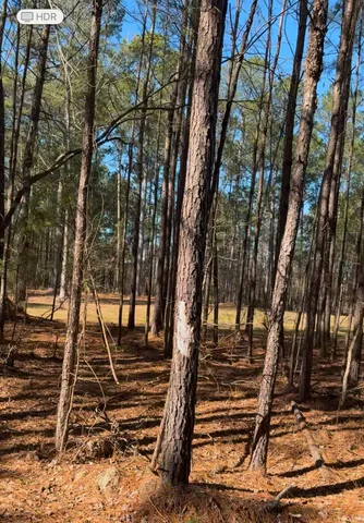 $150,000 | 450 River Blf Trail, St. Stephen, SC 29479