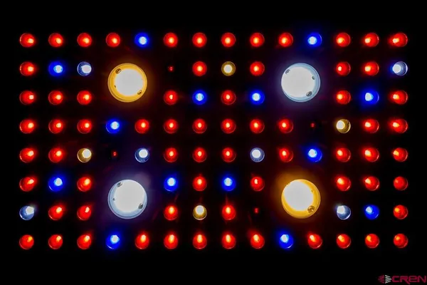 $725,000 | 10662 Highway 172, Ignacio, CO 81137