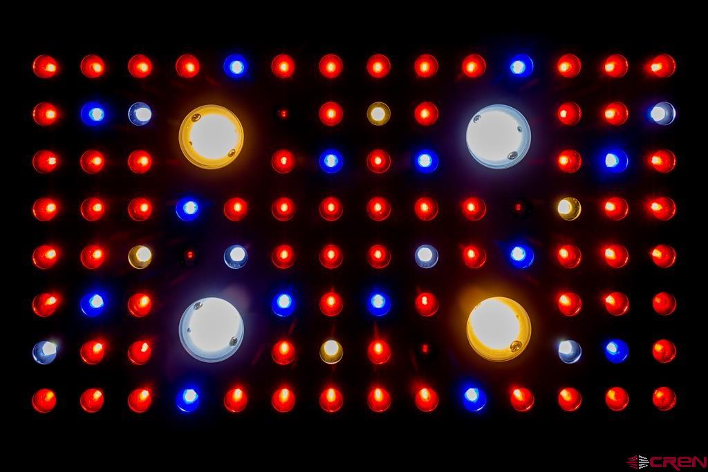 10662 Highway 172 Ignacio, CO 81137 - Photo 19 of 30 a view of a tree