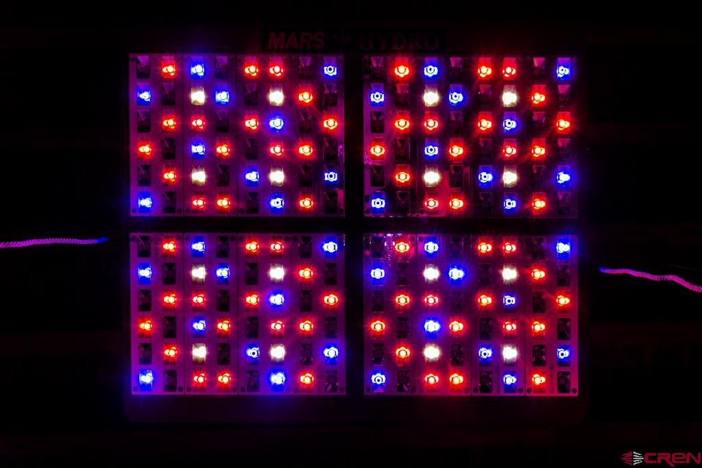 10662 Highway 172 Ignacio, CO 81137 - Photo 20 of 30 a view of a tree