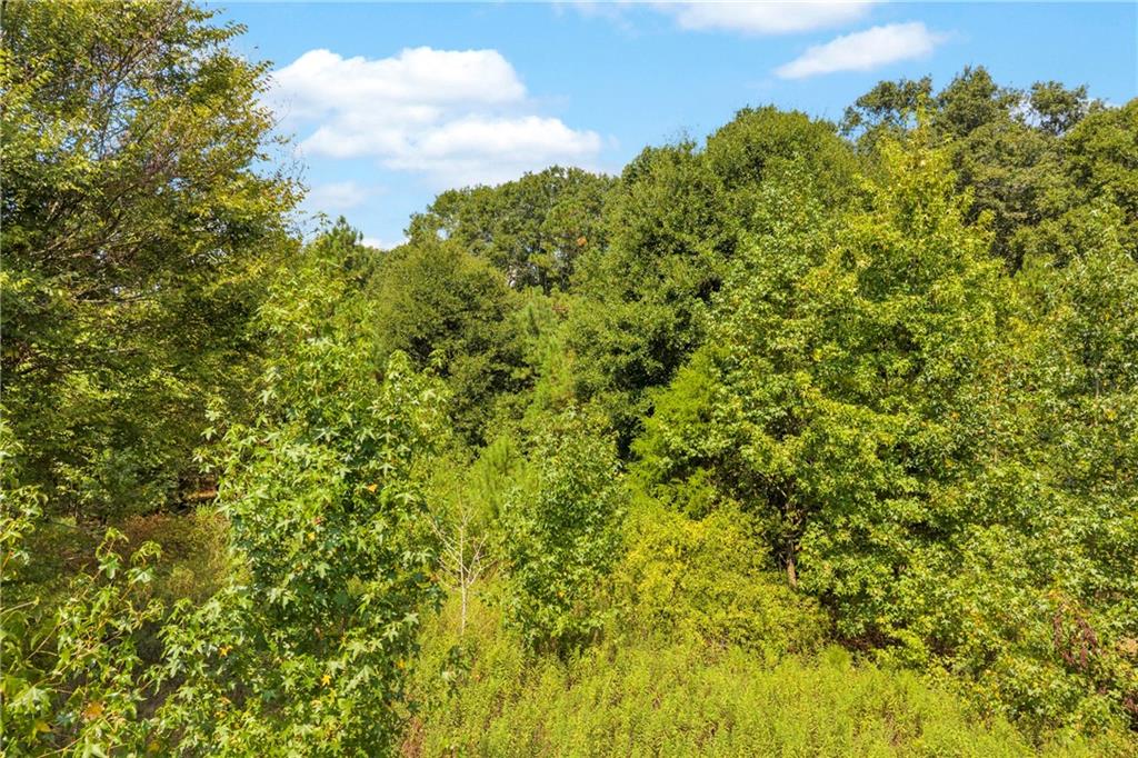 0 Poplar Road Commerce, GA 30529 - Photo 10 of 28 Gallery Image 10