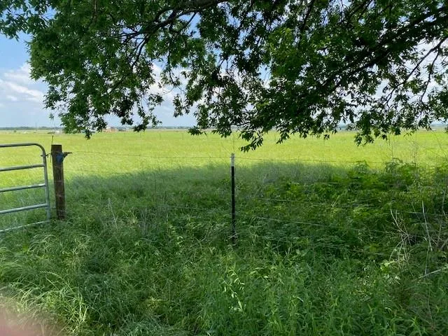 a view of yard with green space