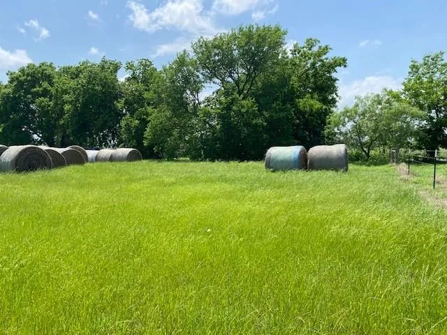 a view of a grassy field and covered with trees in the background