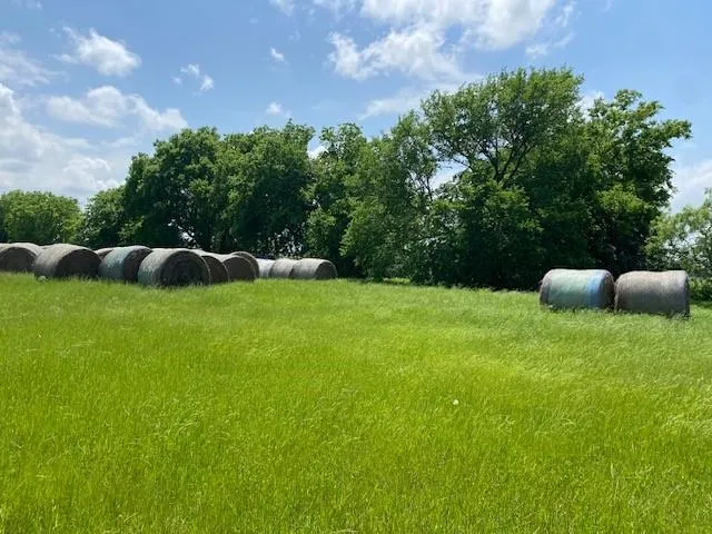 a green field with lots of trees in the background