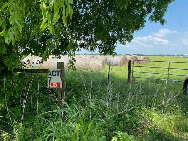 a view of yard with green space