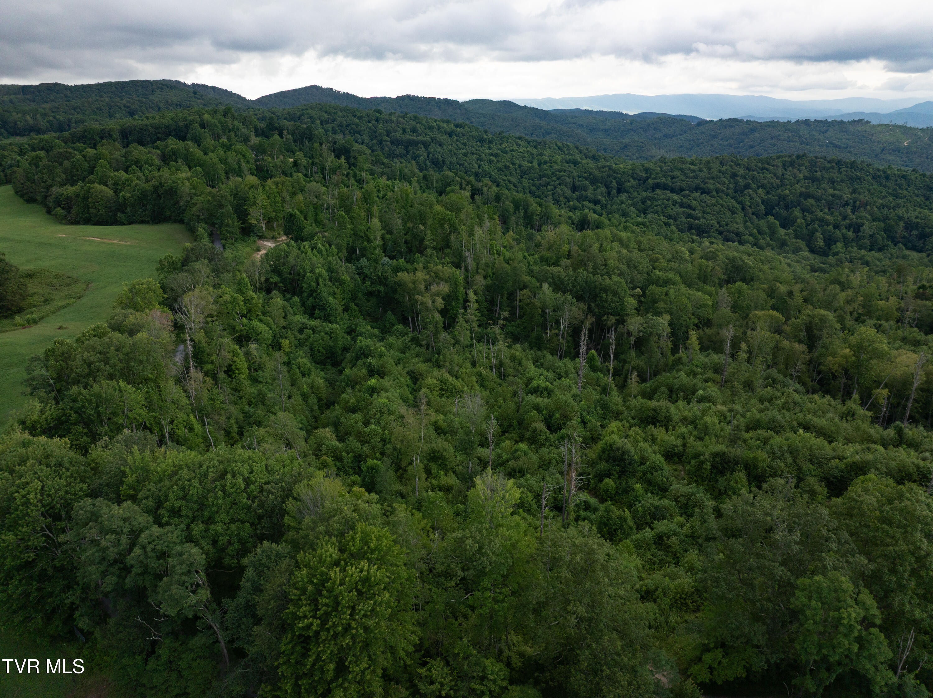 Tbd Walnut Mountain Road, Unit TBD Butler, TN 37640 - Photo 17 of 22 DJI_20250802180602_0775_D