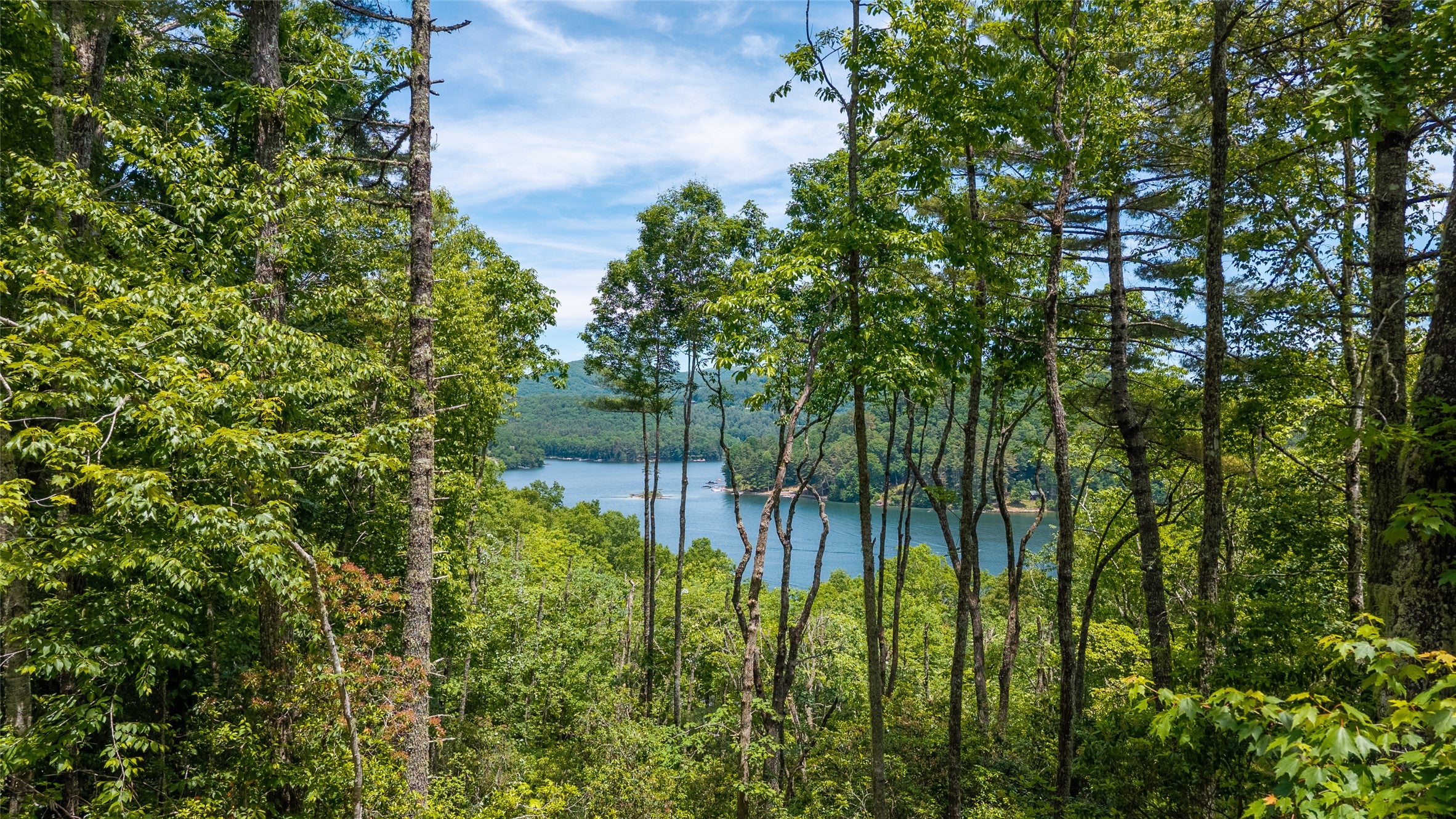 33 Summer Hill Road Cullowhee, NC 28723 - Photo 10 of 10 Gallery Image 10