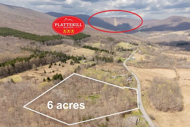 $569,000 | 851 Lower Meeker Hollow Road, Roxbury, NY 12474