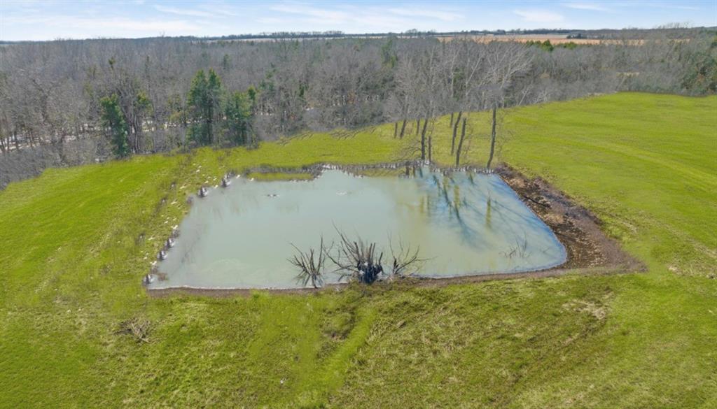 1151 Cr 24900 Road Roxton, TX 75477 - Photo 21 of 28