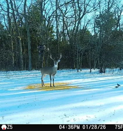 $395,000 | 1151 Cr 24900 Road, Roxton, TX 75477