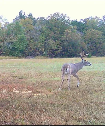 $415,000 | 1151 Cr 24900 Road, Roxton, TX 75477