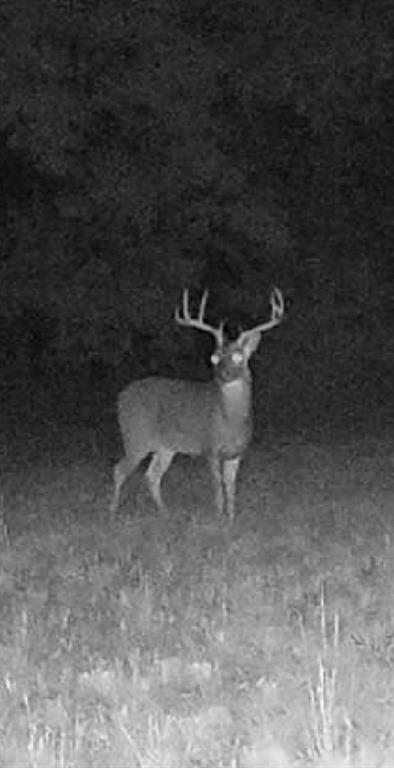 1151 Cr 24900 Road Roxton, TX 75477 - Photo 27 of 28