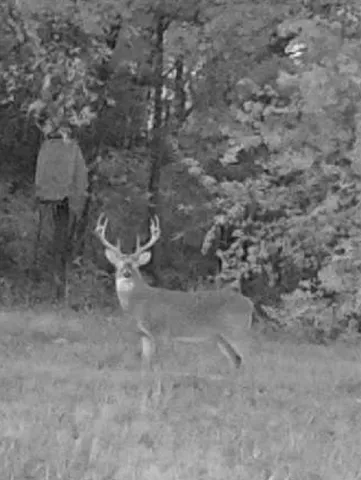 $415,000 | 1151 Cr 24900 Road, Roxton, TX 75477