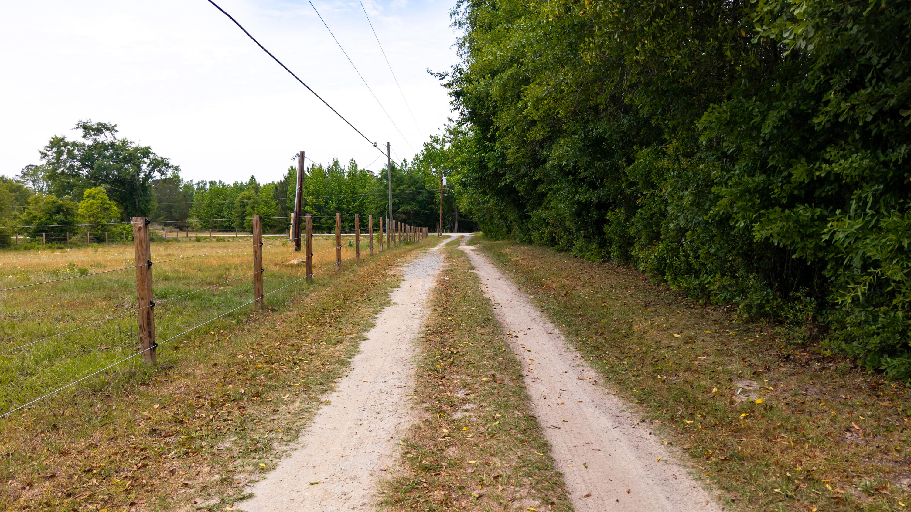 1436 Britton Road Sumter, SC 29153 - Photo 46 of 71