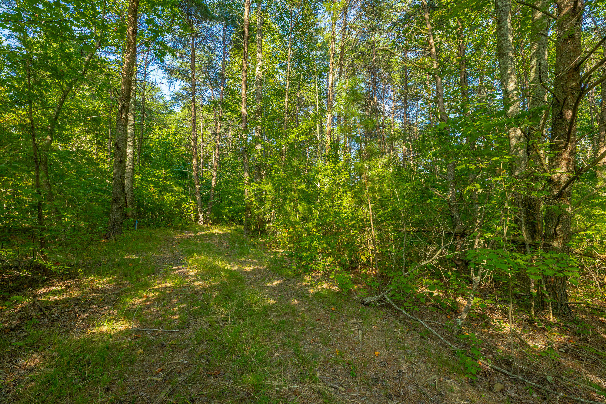 0 High Ground Road, Unit LOT 2218 Guild, TN 37340 - Photo 28 of 115 0 High Ground Road - Lot 2218 HD-63