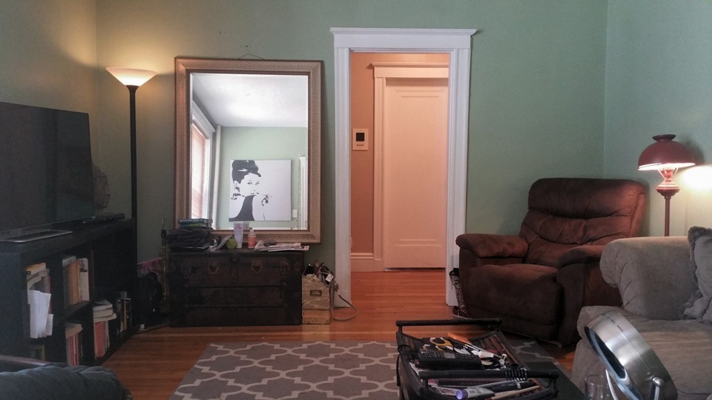 8 Kinross Road, Unit 1 Boston, MA 02135 - Photo 7 of 21 Gallery Image 7