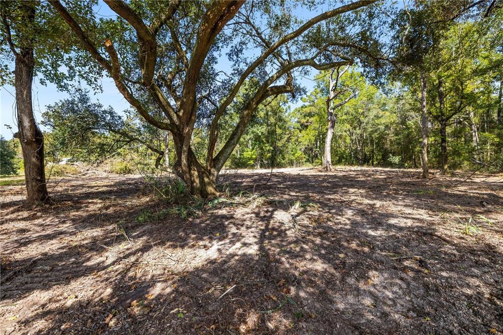 0 Bennett Road Holden, LA 70744 - Photo 12 of 13
