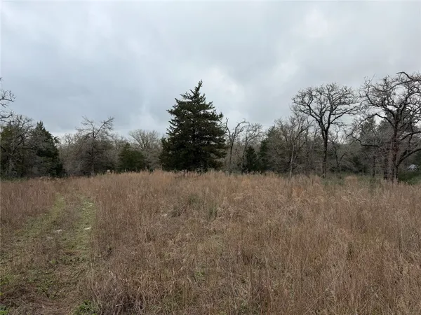 a view of a dry yard