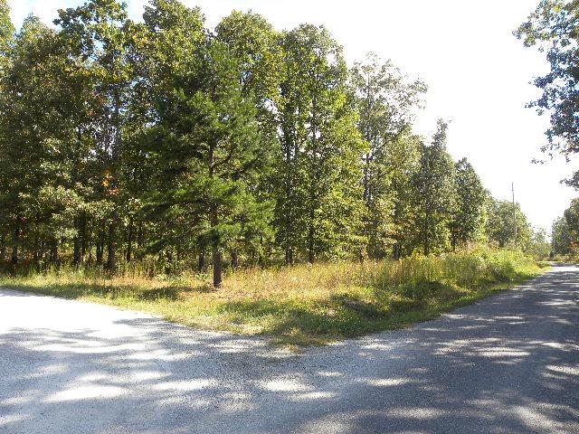 0 Chickenhawk Ridge Road Summertown, TN 38483 - Photo 1 of 4 Gallery Image 1
