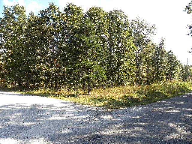 0 Chickenhawk Ridge Road Summertown, TN 38483 - Photo 2 of 4 Gallery Image 2