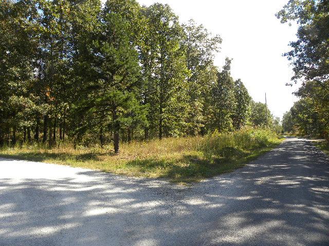 0 Chickenhawk Ridge Road Summertown, TN 38483 - Photo 3 of 4 Gallery Image 3