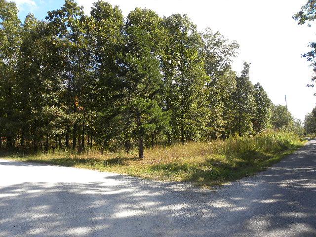 0 Chickenhawk Ridge Road Summertown, TN 38483 - Photo 4 of 4 Gallery Image 4