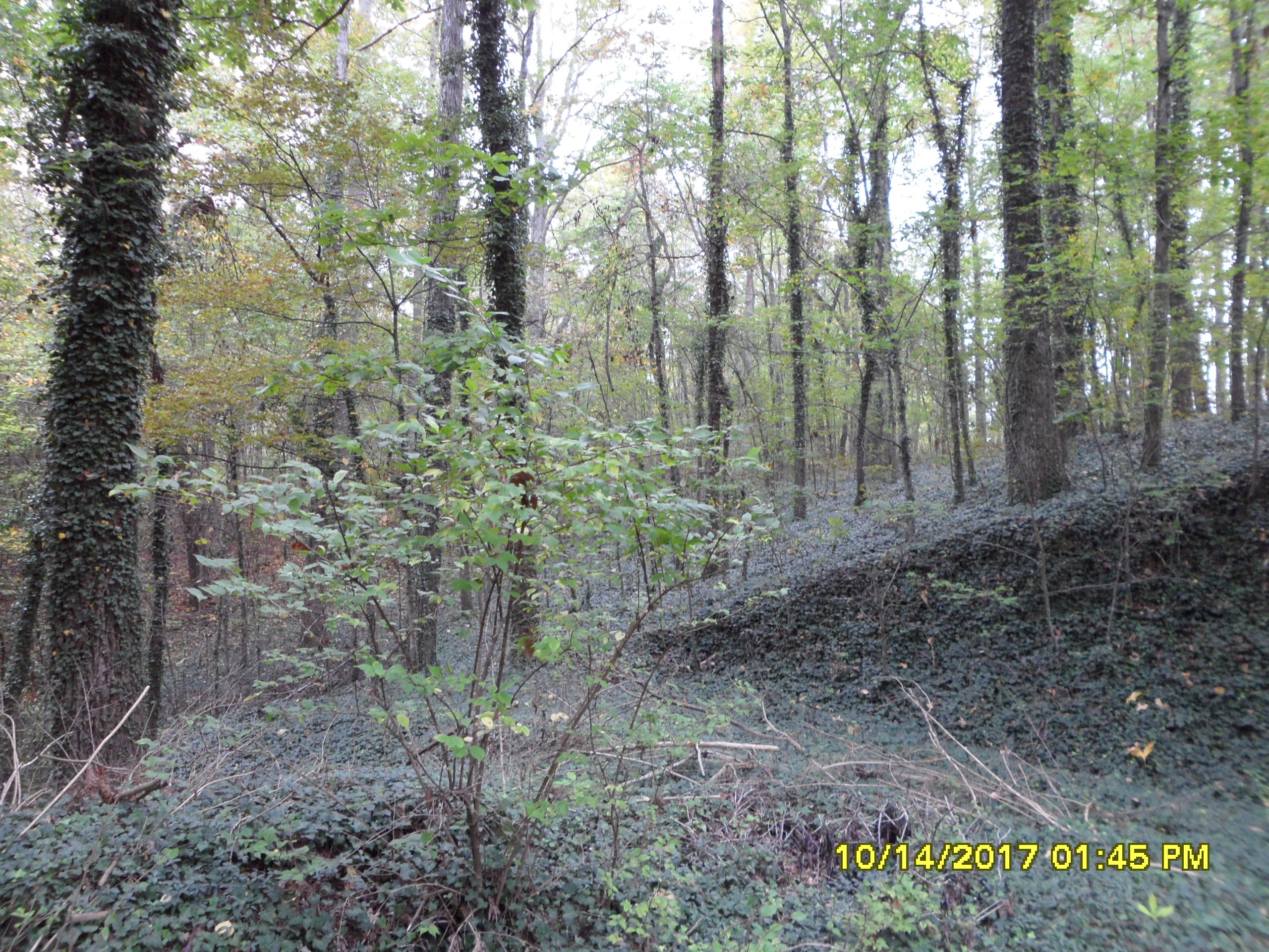 112 Shepard Lane Powell, TN 37849 - Photo 12 of 36 1756 Mansfield,112 Sharp Ln, 208 Norton