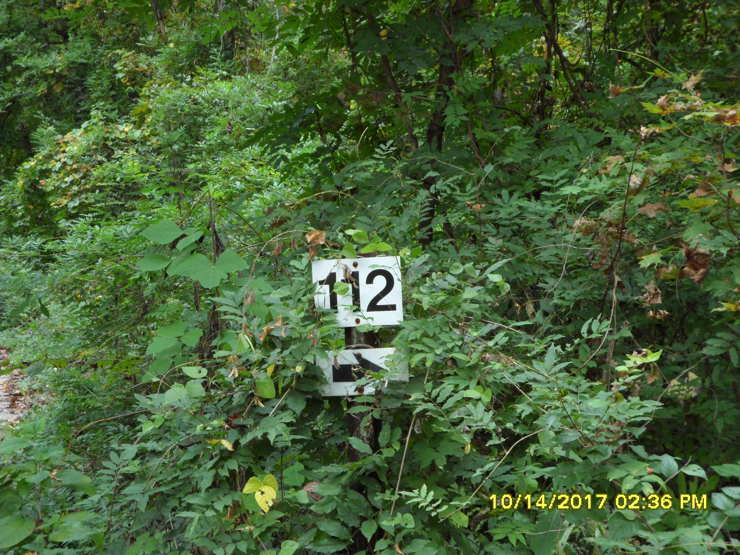112 Shepard Lane Powell, TN 37849 - Photo 18 of 36 1756 Mansfield,112 Sharp Ln, 208 Norton