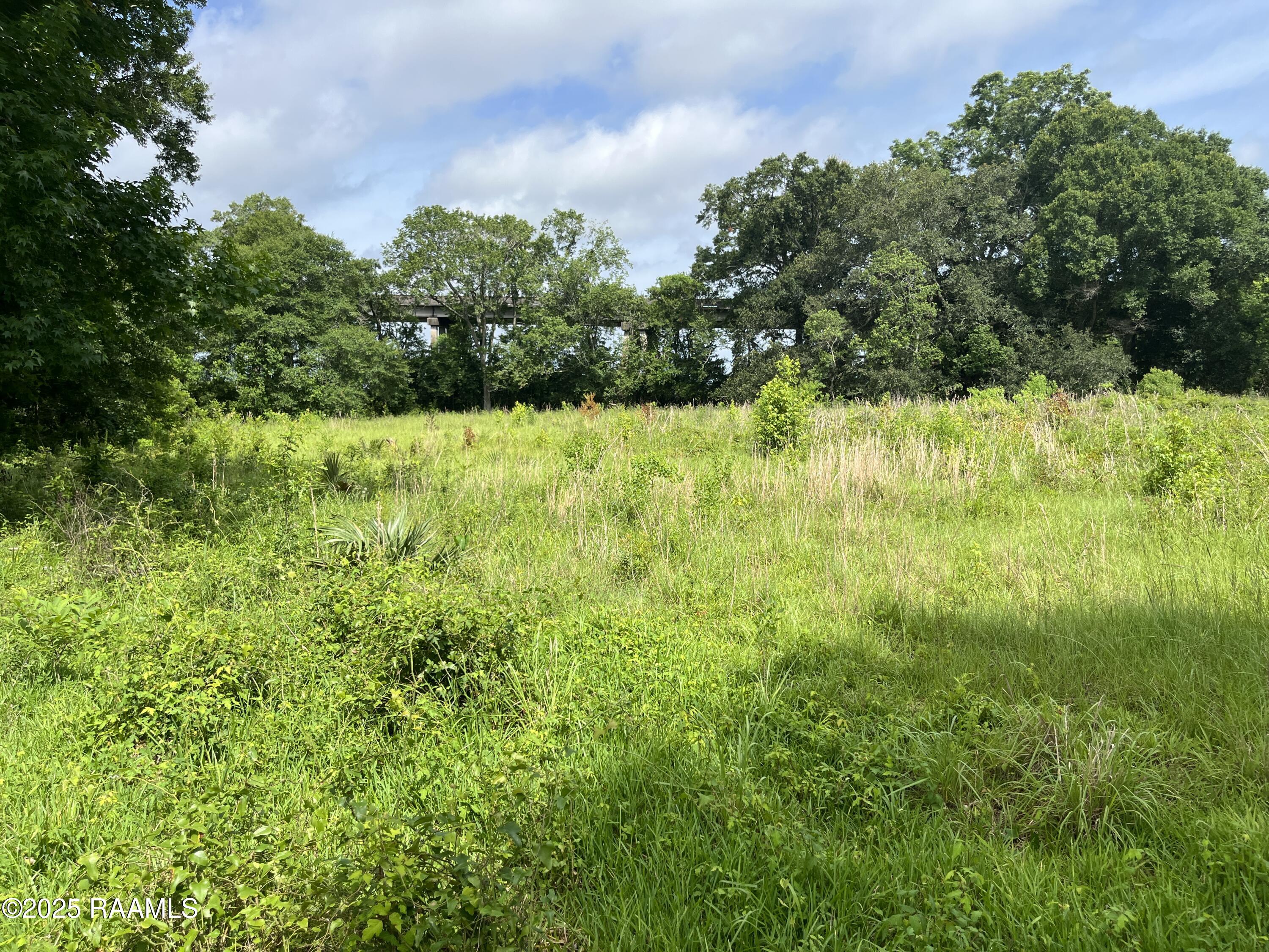 1 Keno Road Abbeville, LA 70510 - Photo 3 of 11 IMG_7725