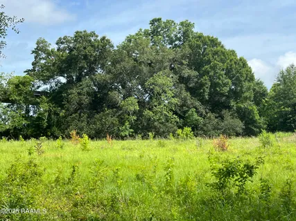 $55,000 | 1 Keno Road, Abbeville, LA 70510