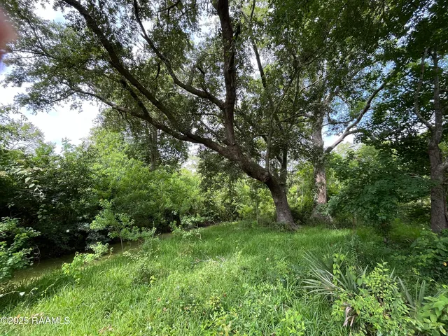 $55,000 | 1 Keno Road, Abbeville, LA 70510