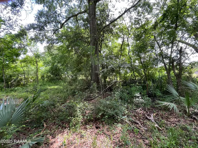 $55,000 | 1 Keno Road, Abbeville, LA 70510