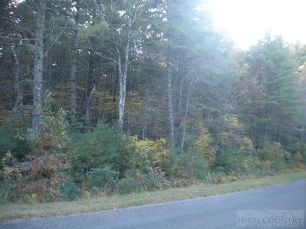 $42,500 | Lot 2 Pine Chase Glade Valley, Glade Valley, NC 28627