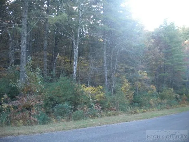 $42,500 | Lot 2 Pine Chase Glade Valley, Glade Valley, NC 28627