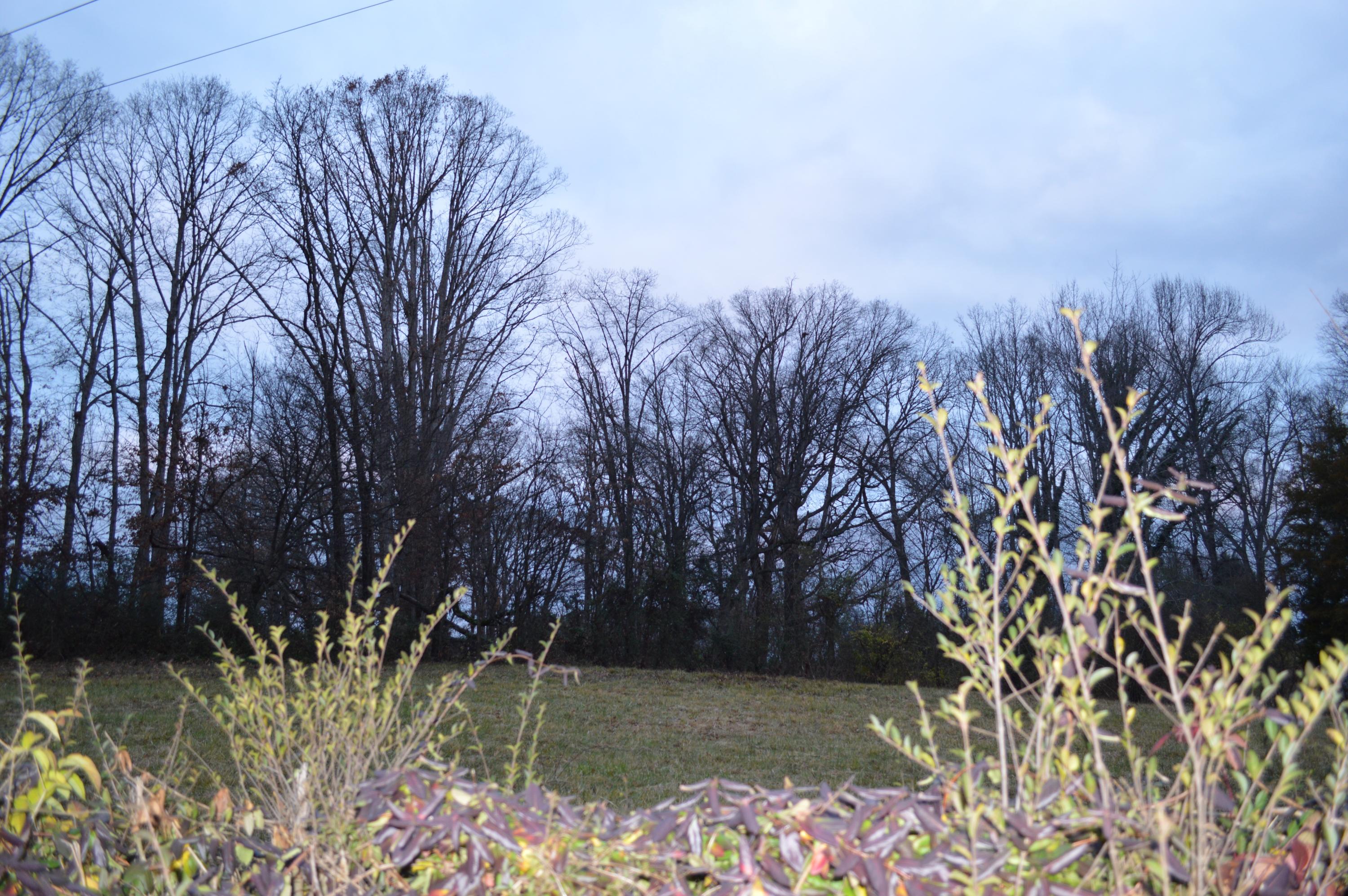 County Farm Road Friendsville, TN 37737 - Photo 3 of 5 DSC_0180