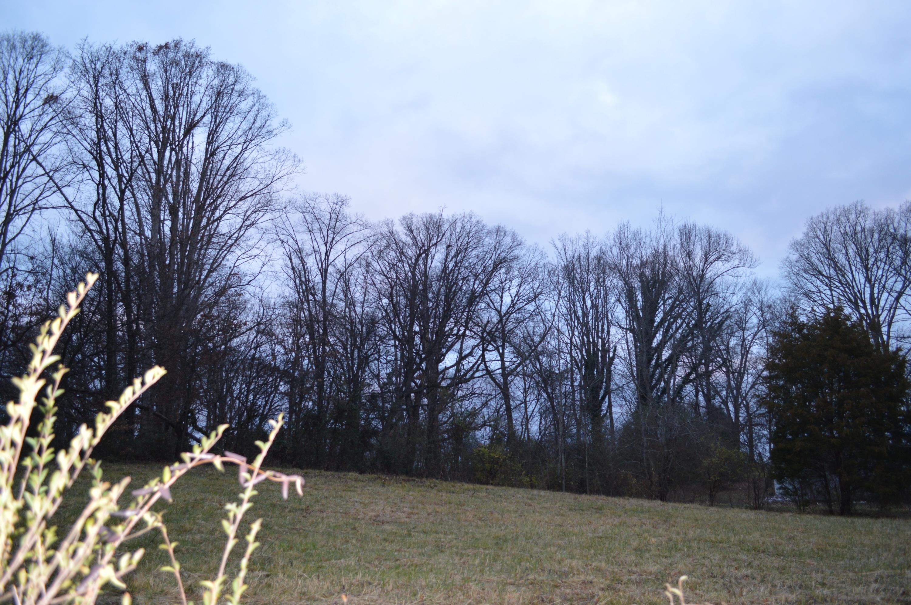 County Farm Road Friendsville, TN 37737 - Photo 4 of 5 DSC_0182
