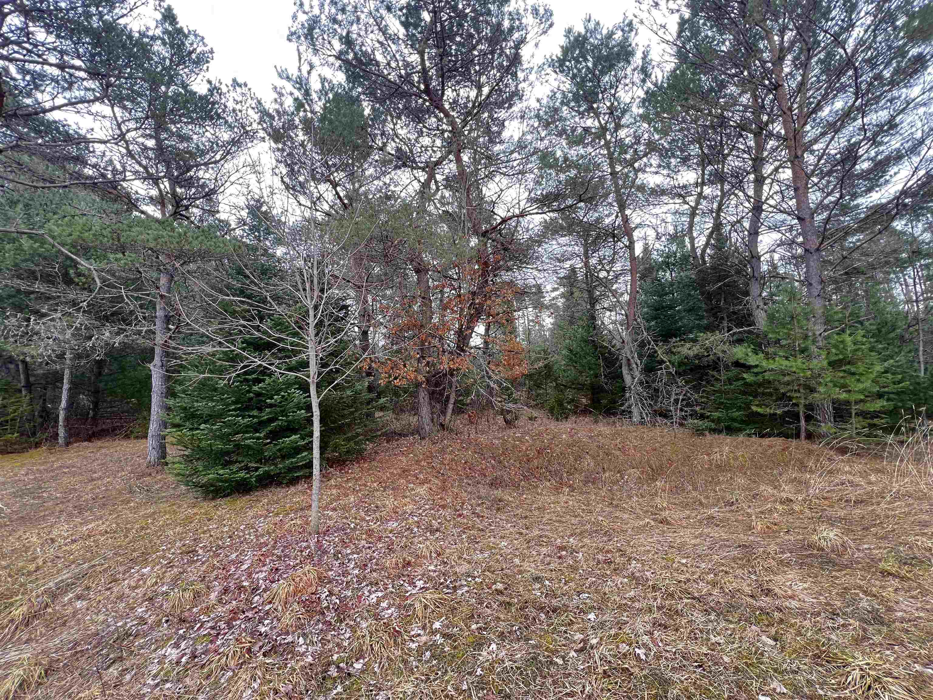 1497 Riley Road Southeast Kalkaska, MI 49646 - Photo 21 of 25