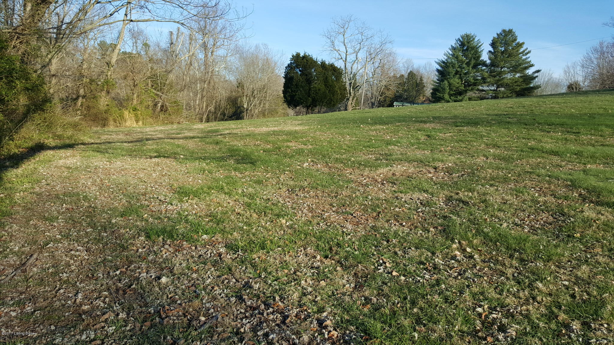 90 Friendship Road Falls Of Rough, KY 40119 - Photo 2 of 12 2