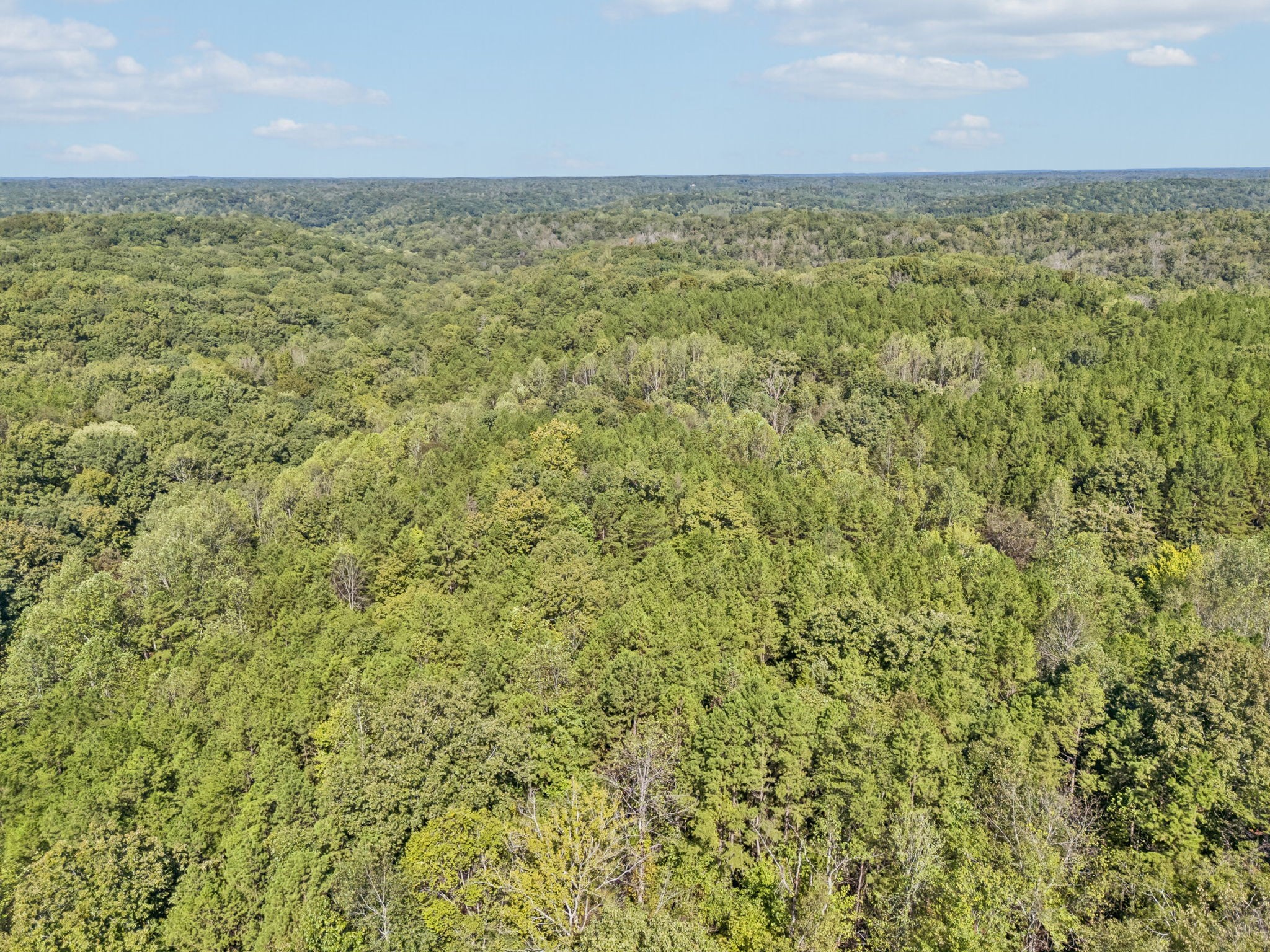 3924 Only Road Only, TN 37140 - Photo 89 of 100 Gallery Image 89