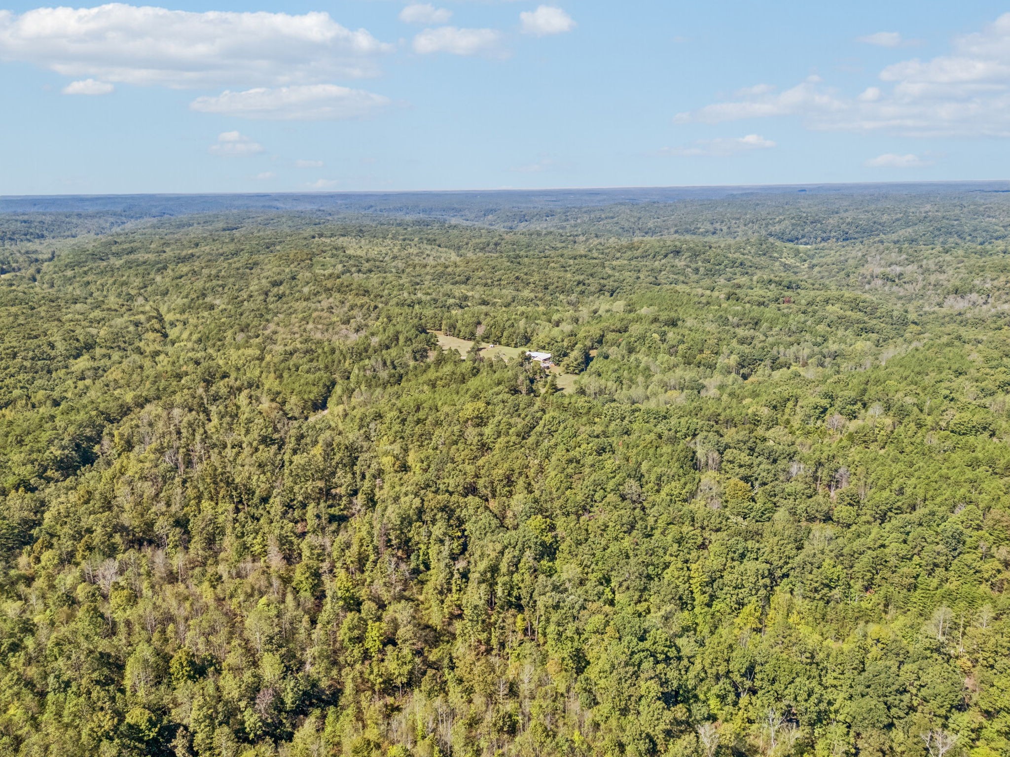 3924 Only Road Only, TN 37140 - Photo 95 of 100 Gallery Image 95