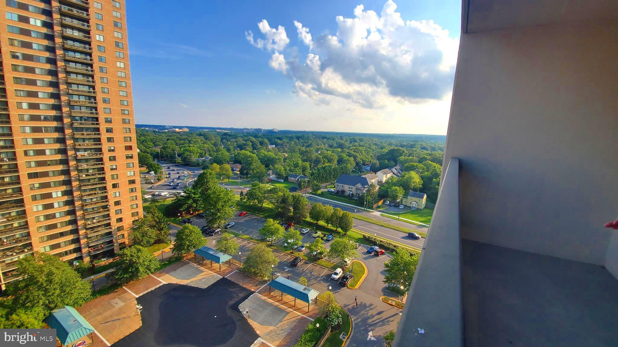 5505 Seminary Road, Unit 1418N Falls Church, VA 22041 - Photo 11 of 35 Community Swimming Pool