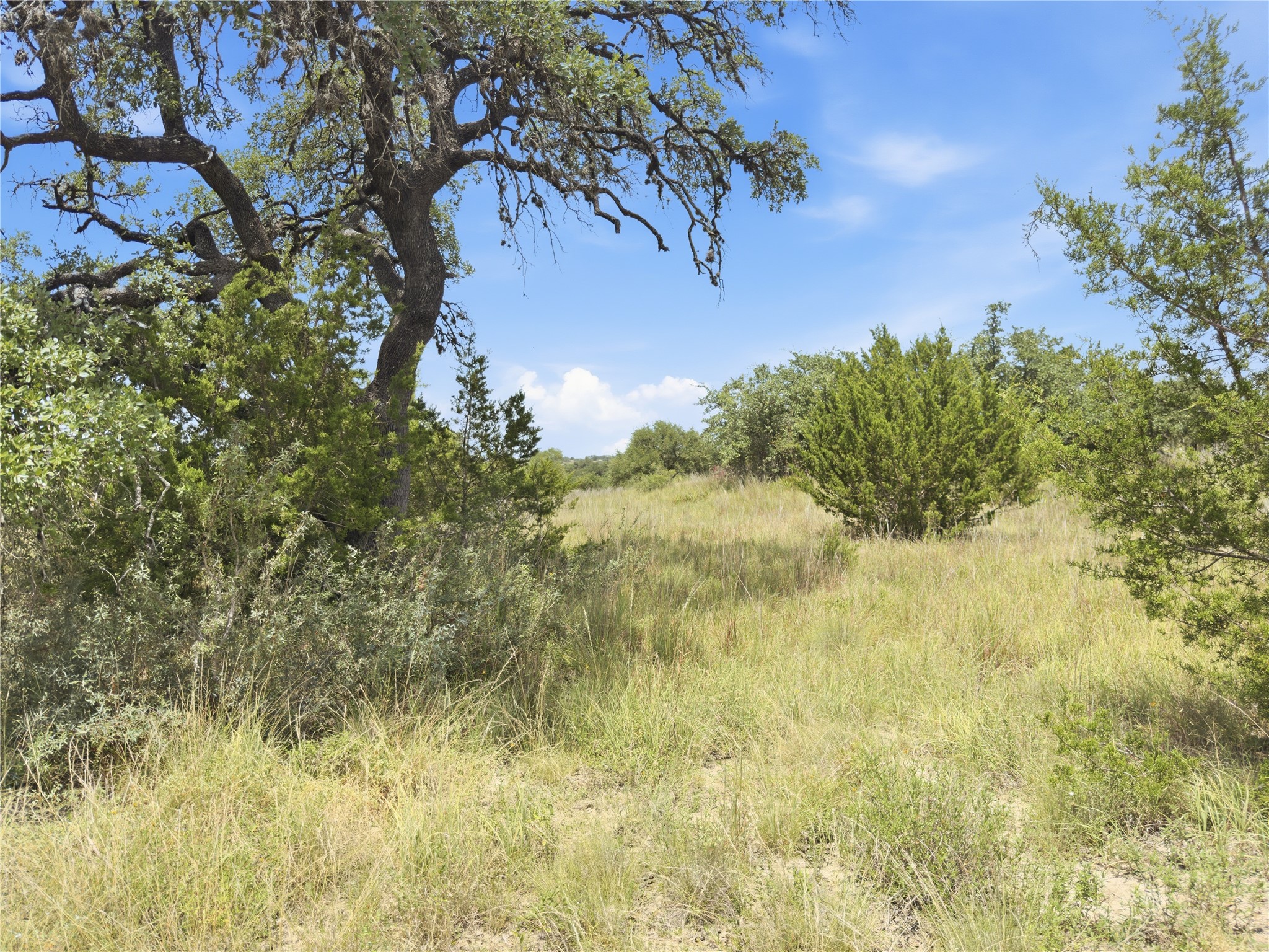 963 Summit Ridge Trail Johnson City, TX 78636 - Photo 8 of 30 A tranquil, tree-lined expanse of natural beauty awaits your vision.