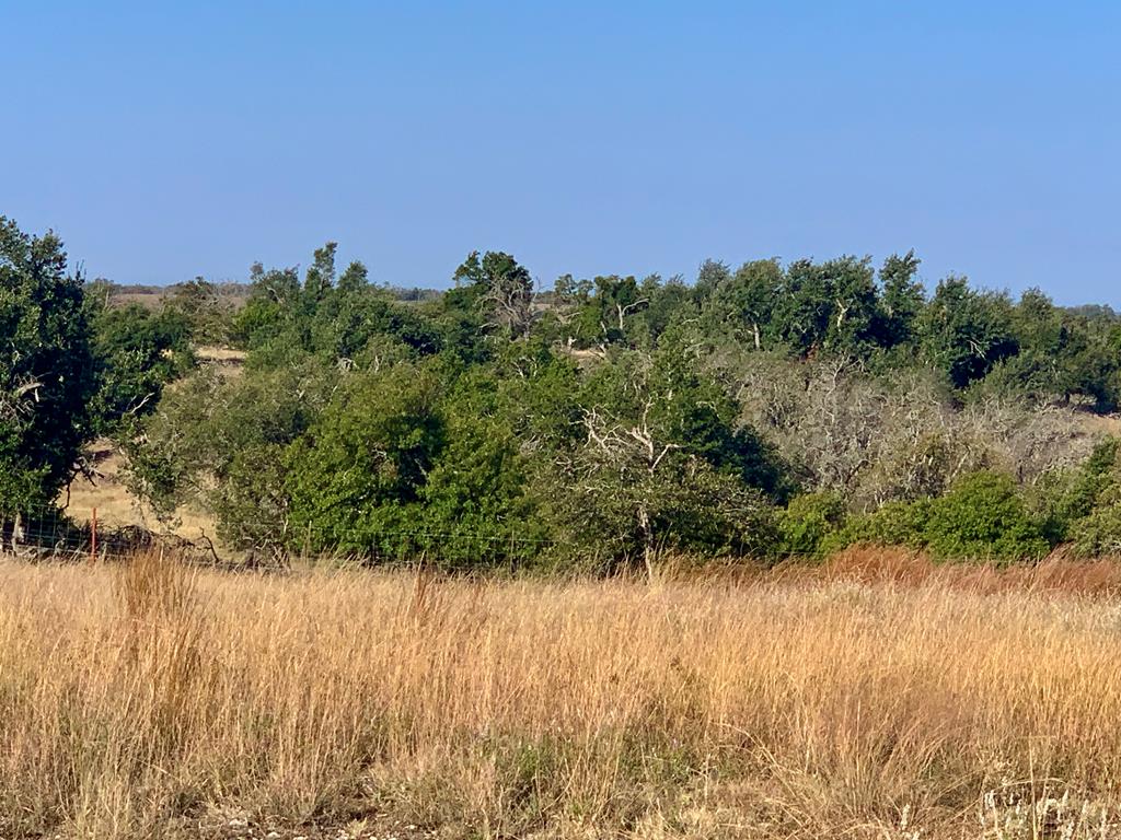 Lot 37 Dancing Sun Road, Unit 37 Fredericksburg, TX 78624 - Photo 5 of 13 a view of a lake with a city