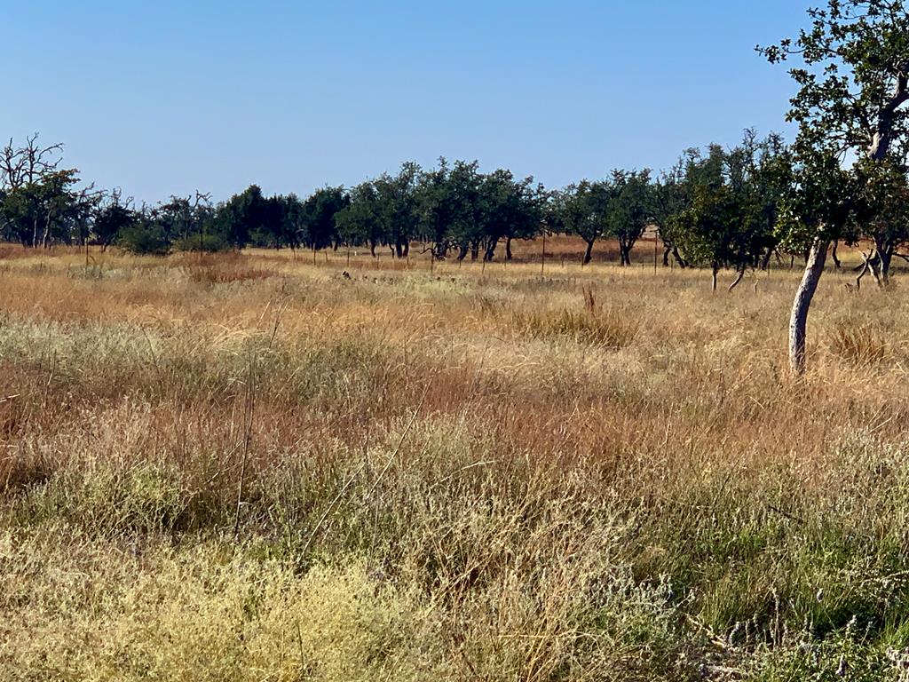 Lot 37 Dancing Sun Road, Unit 37 Fredericksburg, TX 78624 - Photo 6 of 13 a view of lake with mountain in the background