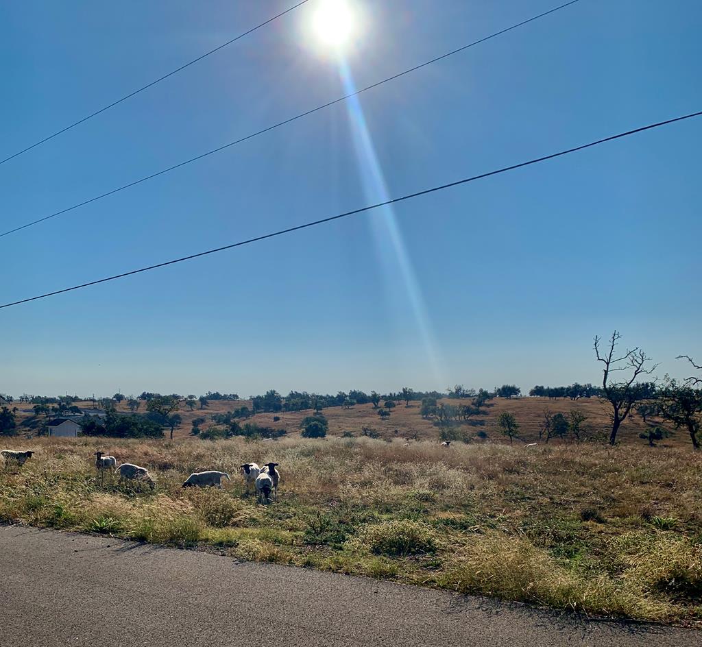 Lot 37 Dancing Sun Road, Unit 37 Fredericksburg, TX 78624 - Photo 10 of 13