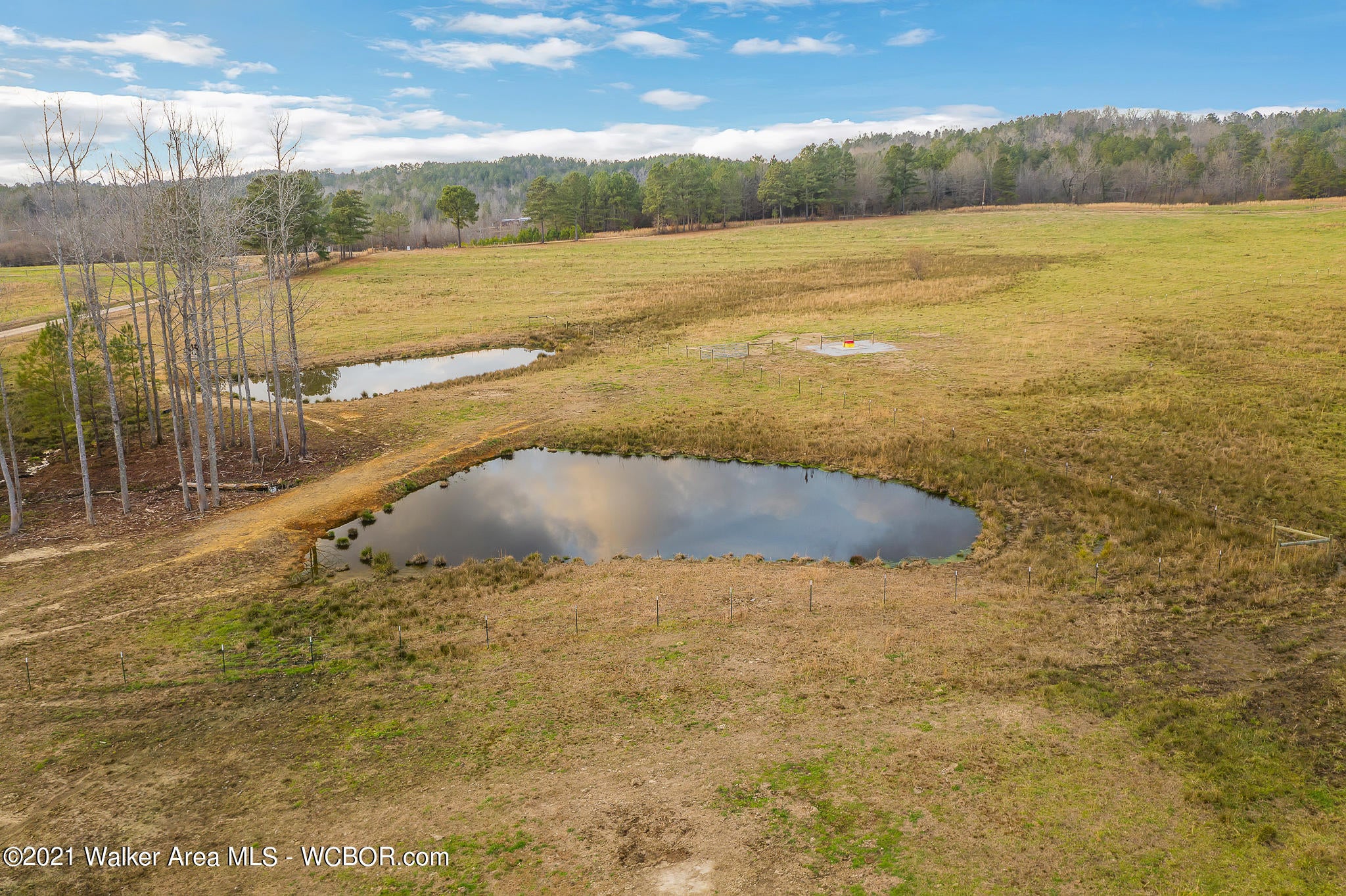113 County Road Double Springs, AL 35553 - Photo 37 of 37 Gallery Image 37