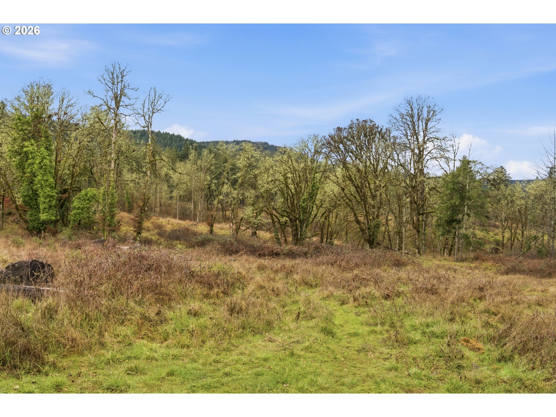 390 Southwest Ash Street Willamina, OR 97396 - Photo 31 of 33 View