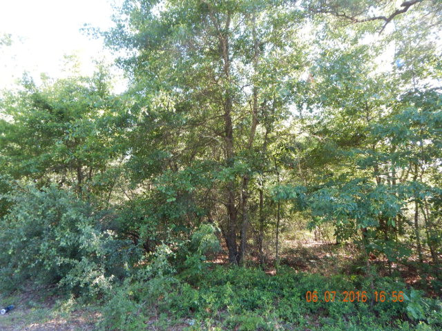 O Brighthop Road Edgefield, SC 29824 - Photo 2 of 3